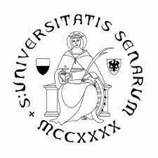 Nuovo bando Dottorato in Economics ciclo 40° Università di Siena (open)